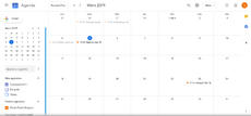 GoogleCalendar PPBe Calendar.png