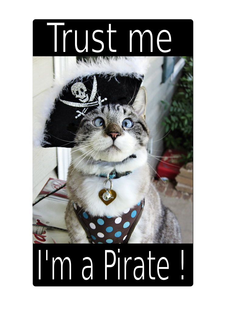 Trust me, I'm a pirate!