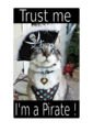 Pirate-cat.svg